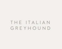 The Italian Greyhound