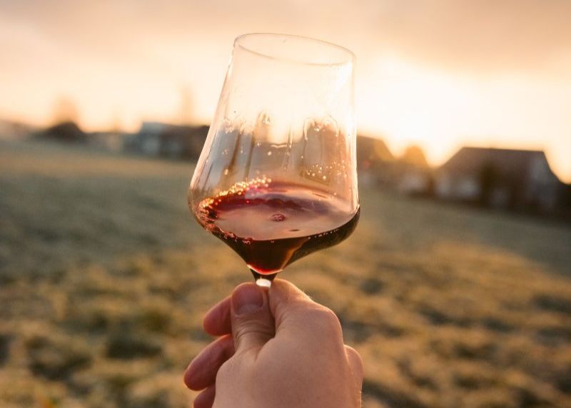 Better off red Zeren Wilson on the best red wines to chill for summer